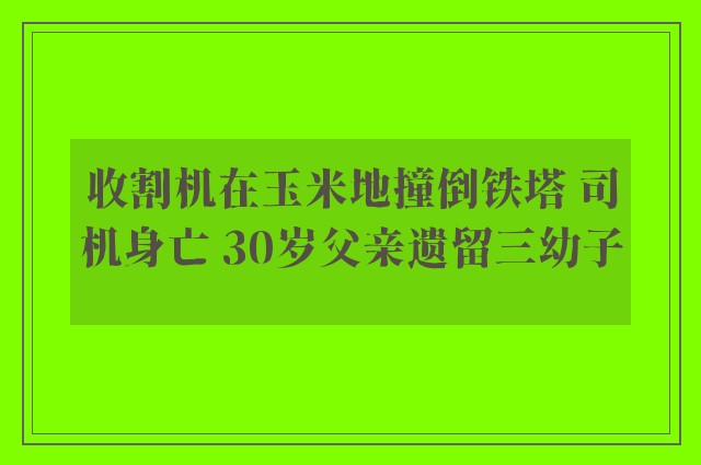 收割机在玉米地撞倒铁塔 司机身亡 30岁父亲遗留三幼子