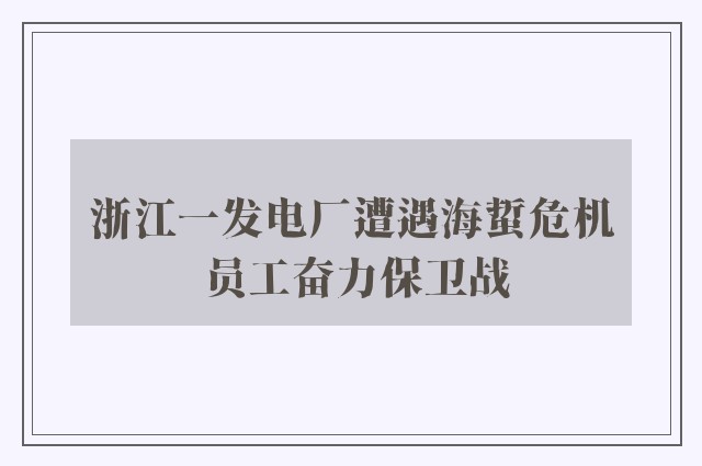 浙江一发电厂遭遇海蜇危机 员工奋力保卫战