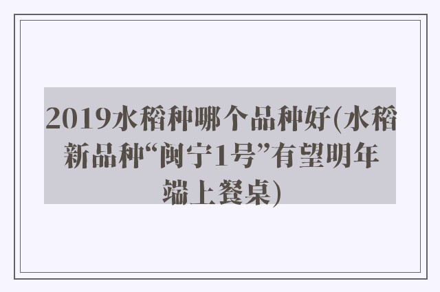 2019水稻种哪个品种好(水稻新品种“闽宁1号”有望明年端上餐桌)