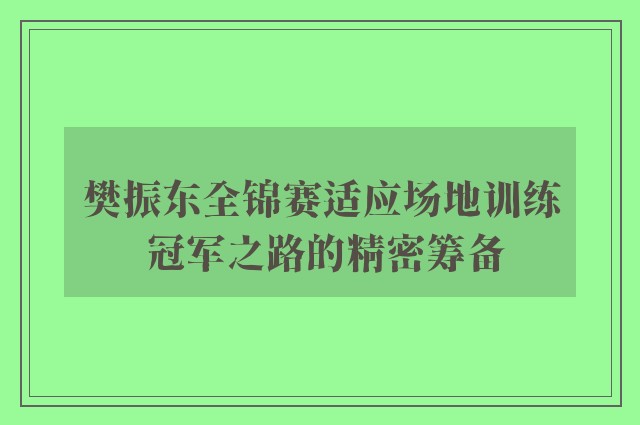 樊振东全锦赛适应场地训练 冠军之路的精密筹备