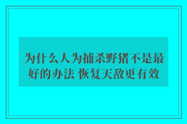 为什么人为捕杀野猪不是最好的办法 恢复天敌更有效