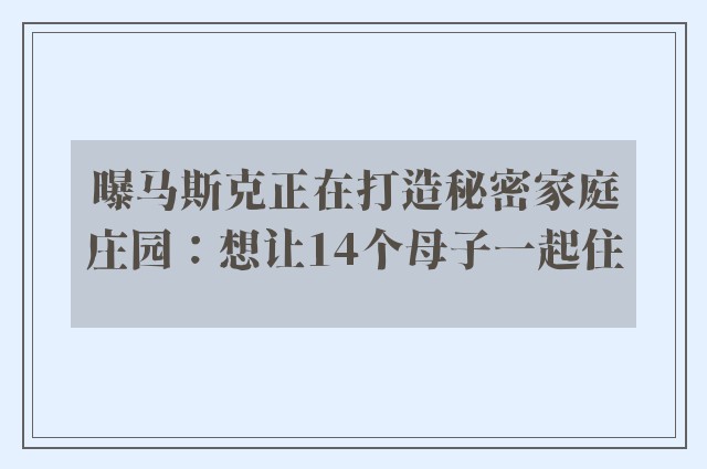 曝马斯克正在打造秘密家庭庄园：想让14个母子一起住