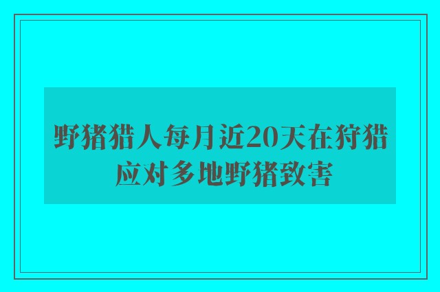 野猪猎人每月近20天在狩猎 应对多地野猪致害