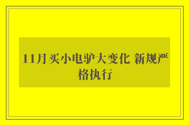 11月买小电驴大变化 新规严格执行