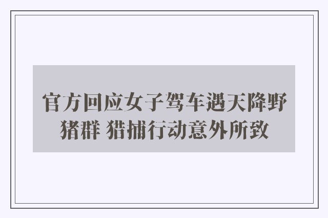 官方回应女子驾车遇天降野猪群 猎捕行动意外所致