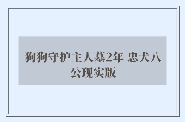 狗狗守护主人墓2年 忠犬八公现实版