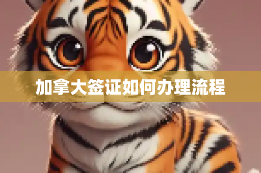 加拿大签证如何办理流程