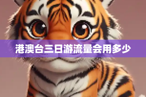 港澳台三日游流量会用多少