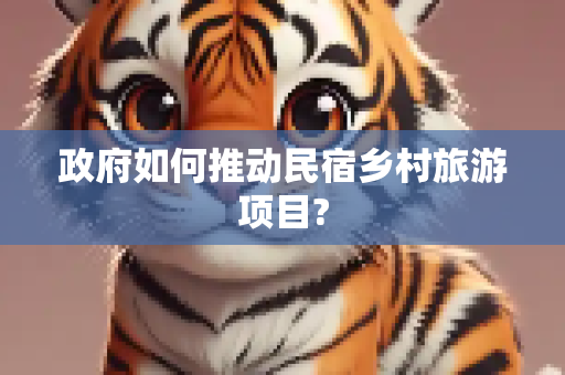 政府如何推动民宿乡村旅游项目?