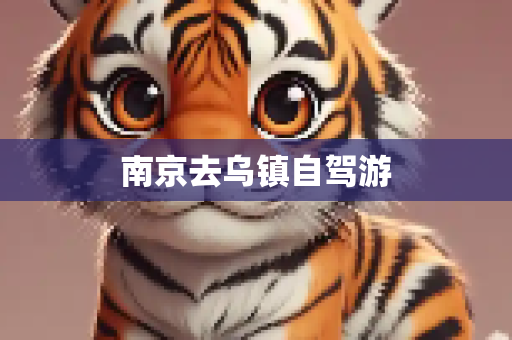 南京去乌镇自驾游