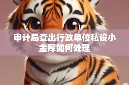 审计局查出行政单位私设小金库如何处理