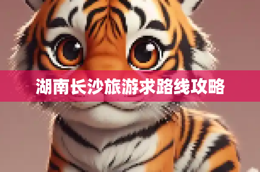 湖南长沙旅游求路线攻略