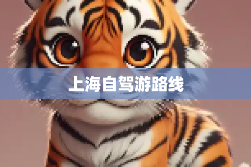 上海自驾游路线