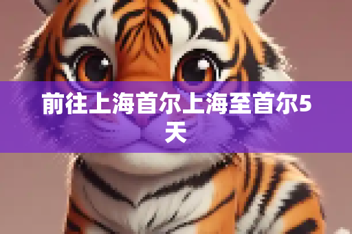 前往上海首尔上海至首尔5天