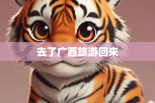 去了广西旅游回来