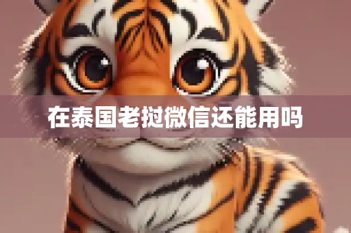在泰国老挝微信还能用吗
