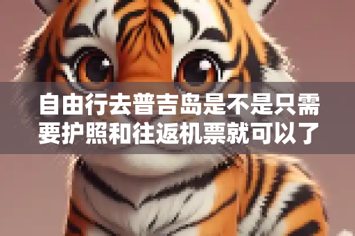 自由行去普吉岛是不是只需要护照和往返机票就可以了