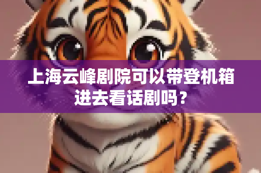 上海云峰剧院可以带登机箱进去看话剧吗？