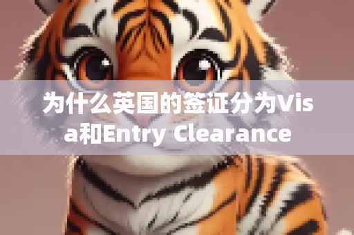 为什么英国的签证分为Visa和Entry Clearance