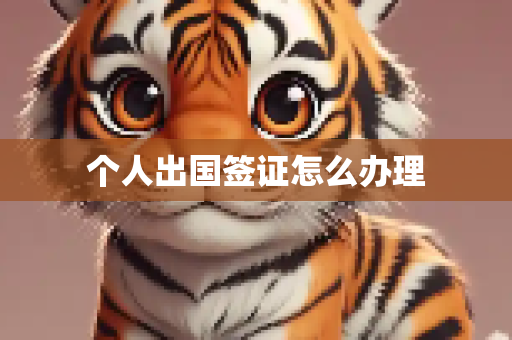 个人出国签证怎么办理
