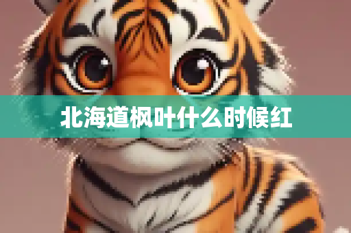 北海道枫叶什么时候红