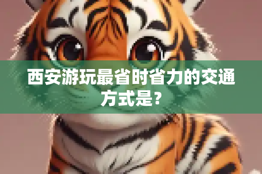 西安游玩最省时省力的交通方式是？