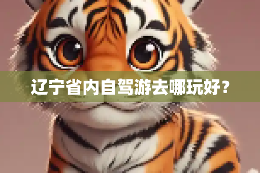 辽宁省内自驾游去哪玩好？