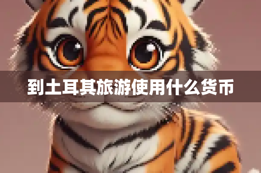到土耳其旅游使用什么货币