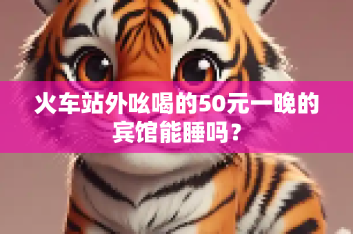 火车站外吆喝的50元一晚的宾馆能睡吗？