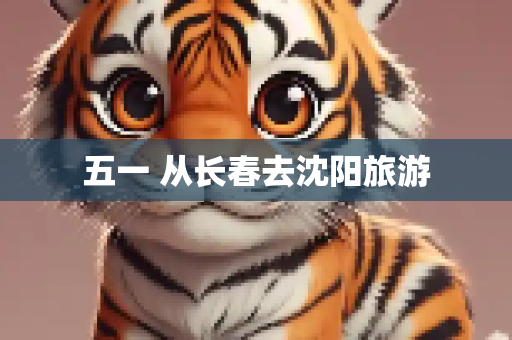 五一 从长春去沈阳旅游