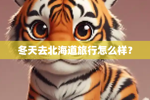 冬天去北海道旅行怎么样？