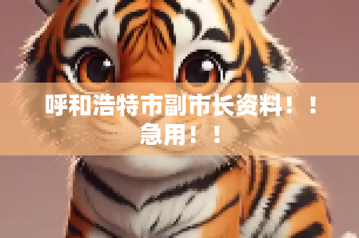 呼和浩特市副市长资料！！急用！！
